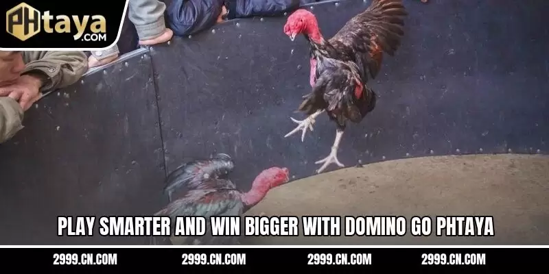 Play smarter and win bigger with Domino Go PHTAYA