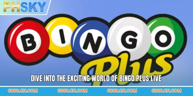 Dive into the exciting world of bingo plus live