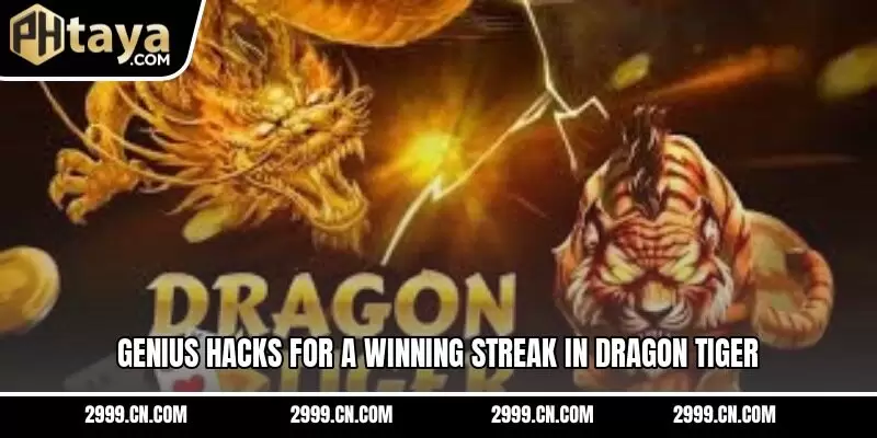 Genius hacks for a winning streak in Dragon Tiger