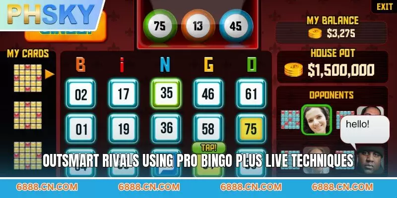 Outsmart rivals using pro bingo plus live techniques