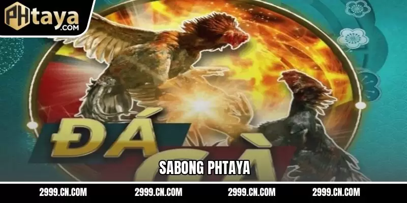 Sabong PHTAYA