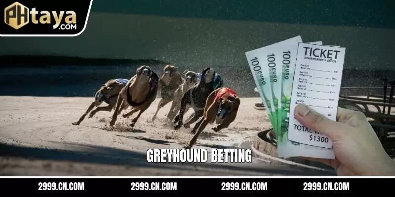 Greyhound Betting