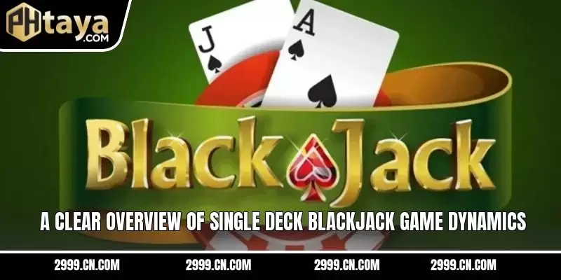 A clear overview of single deck blackjack game dynamics