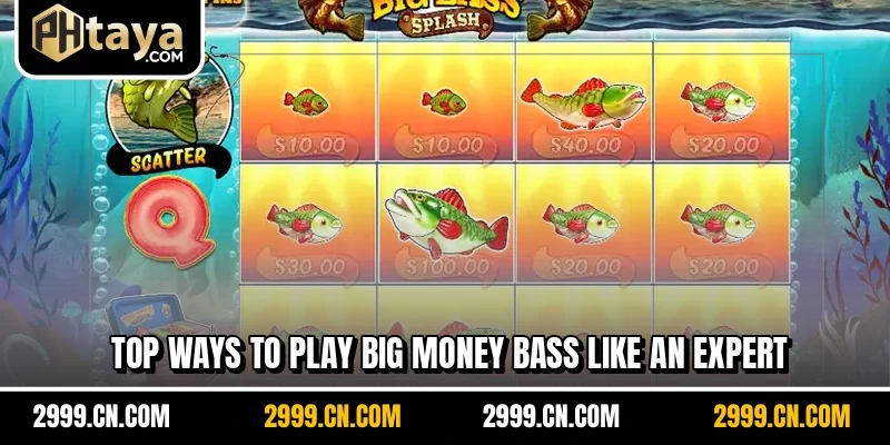 Top ways to play Big Money Bass like an expert